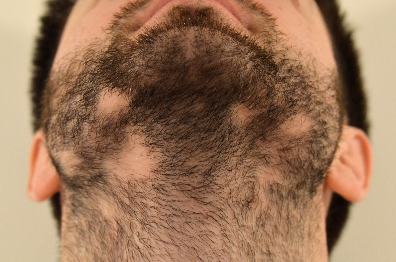 Caring for your beard to help it grow Castlebeard