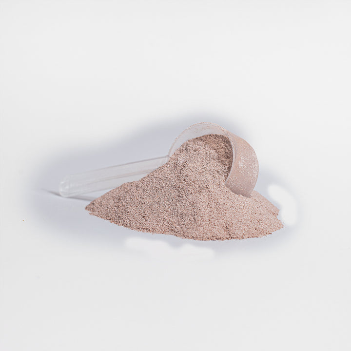 Vegan Pea Protein Isolate Powder Plant Based Superfood Rich in Vitamins & Minerals Vanilla Flavor