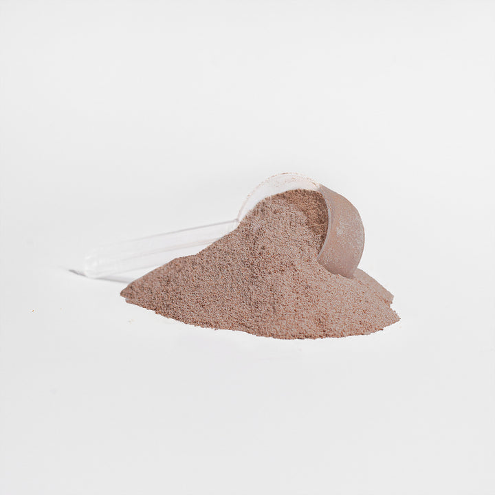 100% Whey Protein Isolate Powder Chocolate Flavor 732g