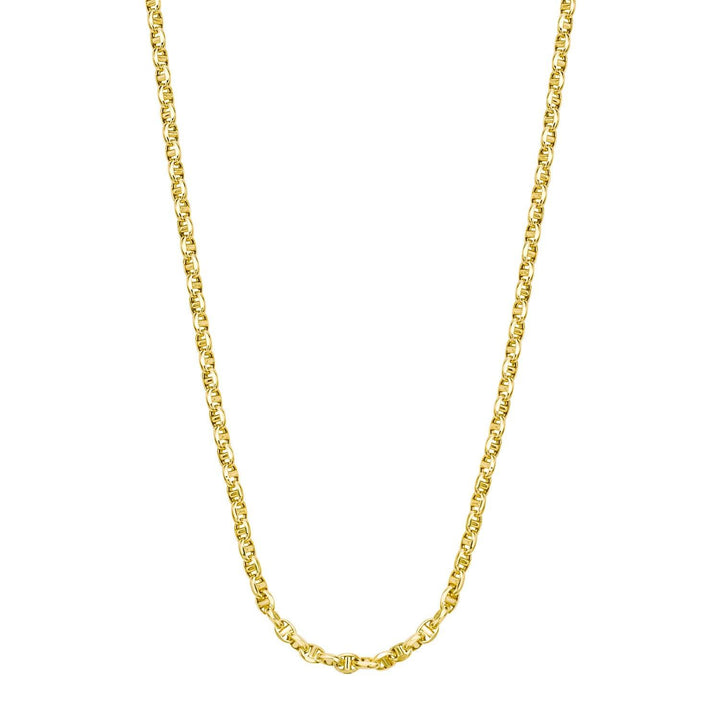14k Yellow Gold Lite Anchor Chain (3.00 mm)