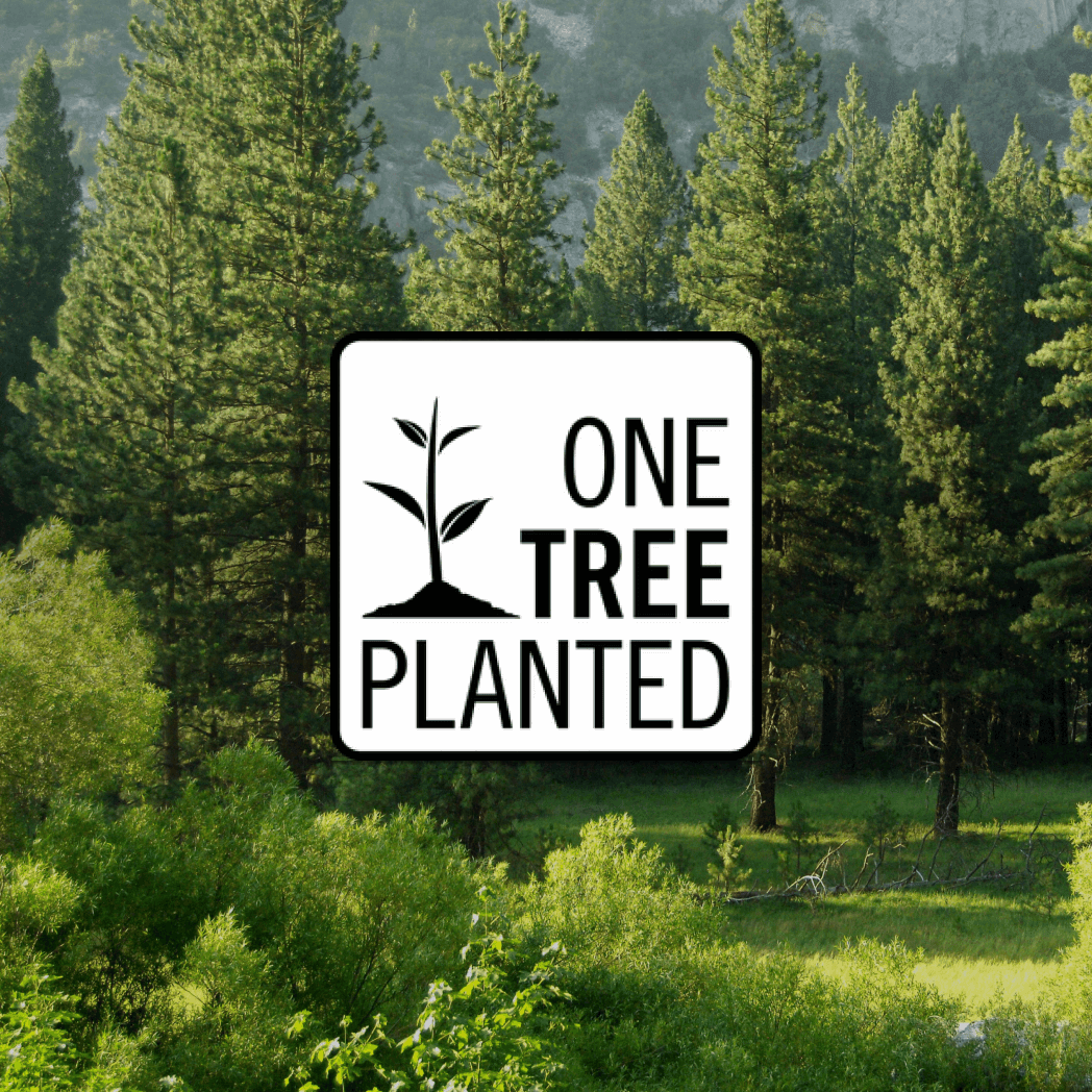 Donation of a Tree - VIVALUI